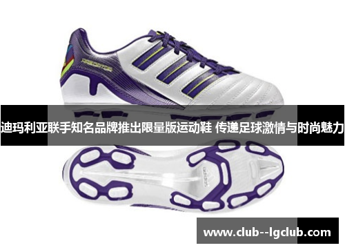 迪玛利亚联手知名品牌推出限量版运动鞋 传递足球激情与时尚魅力 迪玛利亚联手知名品牌推出限量版运动鞋 传递足球激情与时尚魅力